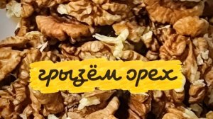 Крепкий малый, мозг внутри, ну-ка, скорлупу сотри!