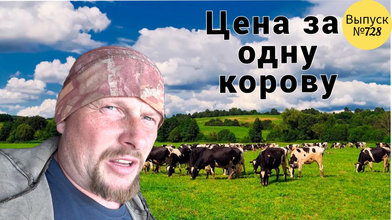 Цена за одну корову в месяц. Бурёнки впервые идут на пастбище. Наши деревенские будни.