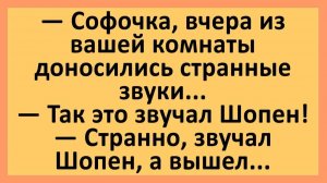 Софочка, вчера из вашей комнаты доносились странные звуки... | Анекдоты смешные | Юмор