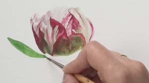 Расслабляющая акварельная картина с бутоном пиона 🌷 Успокаивающее искусство