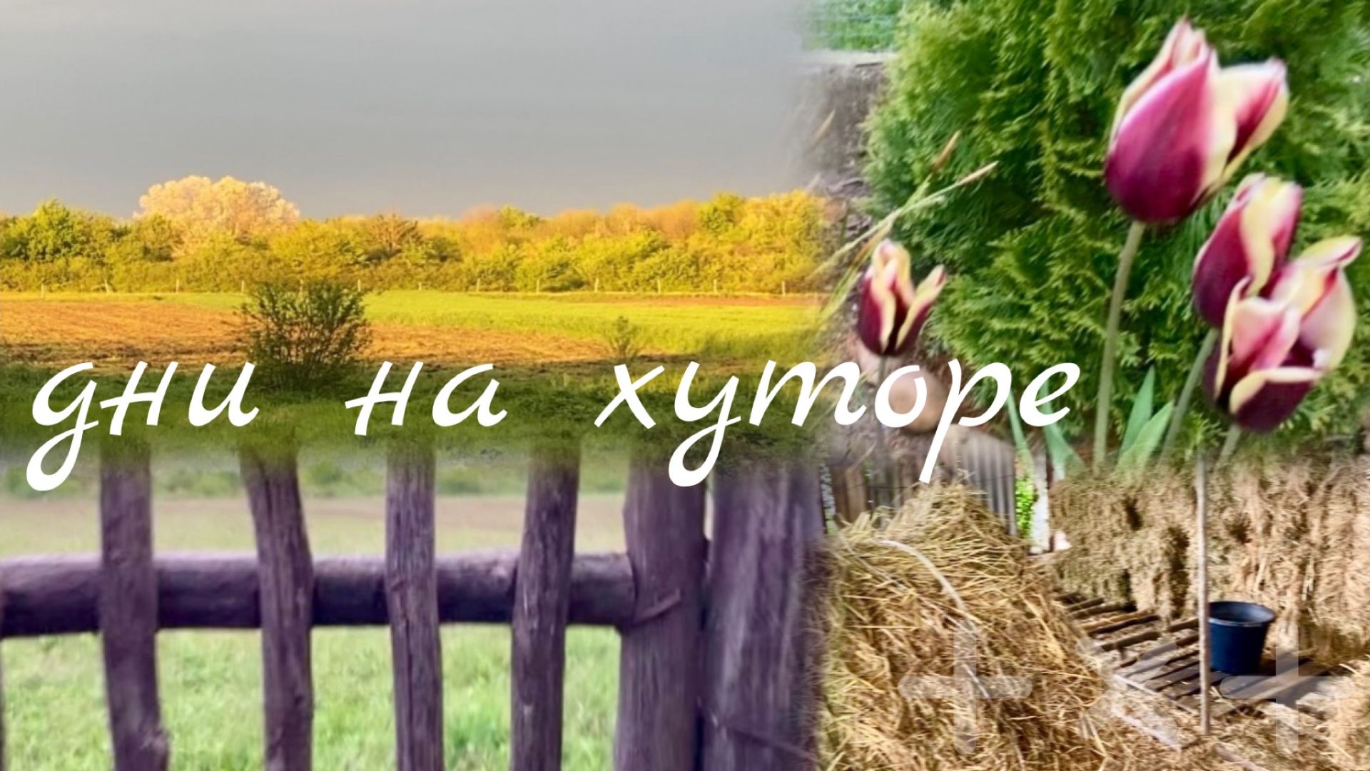 Адыгея/ Сельская жизнь/ К первомаю готовы/ Работа встала/Опять дожди/ 30.04.26