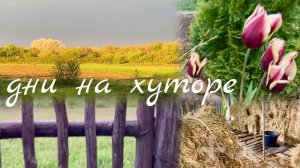 Адыгея/ Сельская жизнь/ К первомаю готовы/ Работа встала/Опять дожди/ 30.04.26