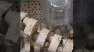 Китаеводы! Это возмутительно!!! Нельзя торговать автозапчастями в зоомагазине! Как вы это вообще тер