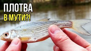 Экстремальный мормышинг! Рыбалка, когда реки вышли из берегов