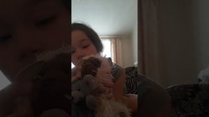 ВРАЧ И КОМАНДА КОШКИ С СОБАКАМИ ДРУЖАТ