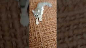 1000001588.mp4