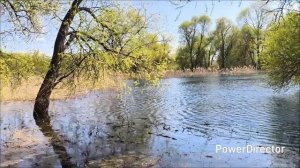 Липецкая обл. с.Малинино 3.05.26 г.