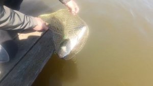 VID-20260503-WA0004