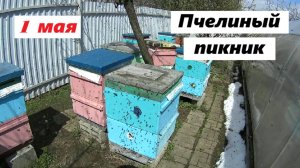 Пчёлы устроили пикник 1 мая