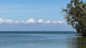 ...Ого ,судак 8300... Весенние судаки заглатывают мандулы. Береговой спиннинг..