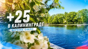 Калининград. Верхнее озеро — май 2026 | Тёплая прогулка