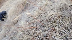 14331.mp4