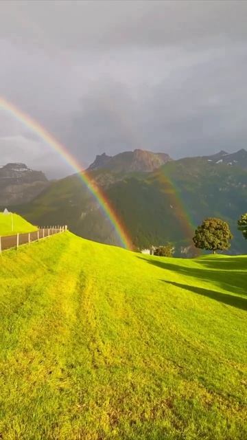 Красота
