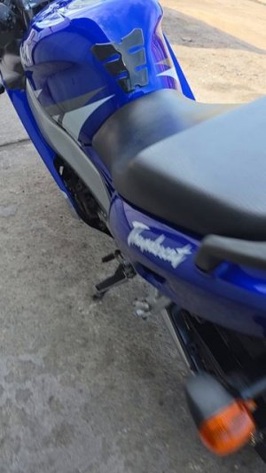 yzf600