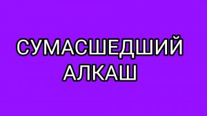 Почему ВОЛОГЖАНКА не даёт покоя ДОМОСЕРУ?