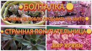 БОЛТАЛКА ● ПОЧЕМУ НЕ ЛЮБЛЮ ПРОДАВАТЬ НА АВИТО● СТРАННАЯ ПОКУПАТЕЛЬНИЦА●