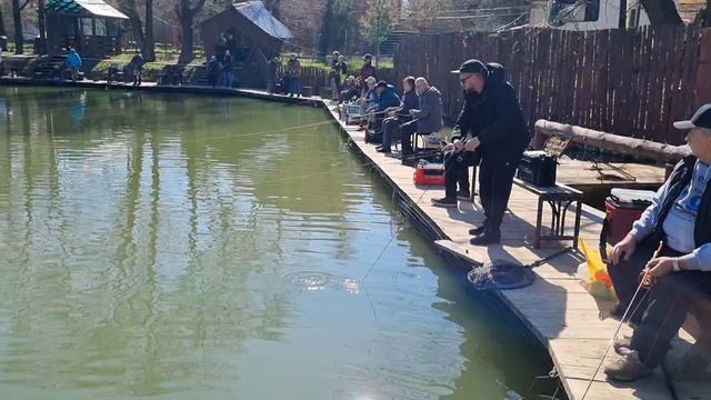 1000025522.mp4 смотреть онлайн