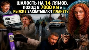 Рыжие захватят планету, ребенок купил три авто, а блогеры идут пешком до Владивостока