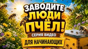 Пчеловодство для начинающих. Заводите люди пчёл!