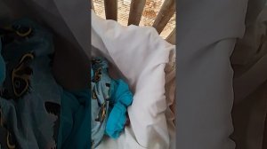 VID_20260503_140404.mp4