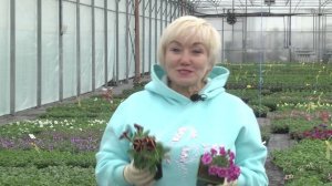 Дачные советы 30_04_25