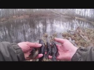 Охота за Ротаном по Сибирским озёрам с Кастинговой сеткой