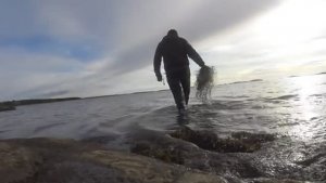 НАШЁЛ НА БЕЛОМ МОРЕ,РЫБНОЕ МЕСТО!ПОСТАВИЛ  СЕТКУ НА КОЛЫ ПЕШКОМ!