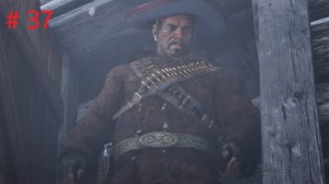 Red Dead Redemption 2 # 37