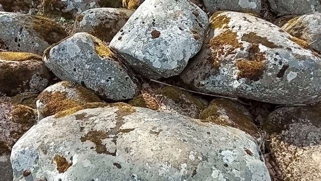 Парк Александрия. Камни у берегов моря.