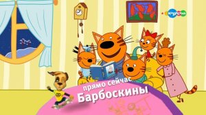 топ 19 карусель плашка (15.02.2026)