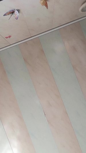 Веня🐕Dog 🐶