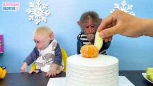 BiBi rowed boat to pick fruit and make fruit cake for baby monkey Obi