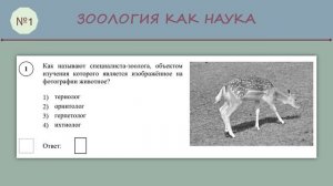 ВПР по биологии 8 класс Часть 1_№ 1
