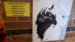 Антикафе Морекот - много кошек и печенья
