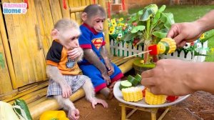 BiBi rows boat to pick fruit for BBQ with baby monkey Obi