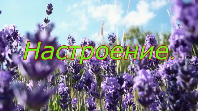 Настроение #лучшее  #музыка