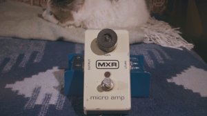 MXR M133 Micro Amp: обзор и применение с гитарой + обзор с котом