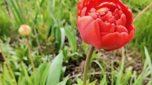 25.04.26/ремонт в зале продолжается/ветер натворил дел/закупка выходного дня