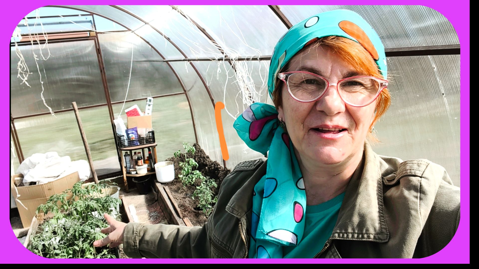 Помидоры в теплице 💪🍅