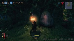 сходка кабанов / Valheim