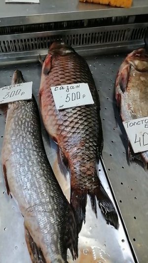 цены на рыбу Чебоксарский рынок