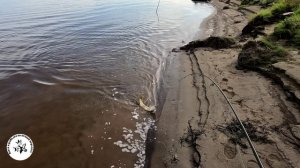 Удачная рыбалка в сентябре