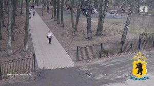 Я о происшествиях. Программа от 02.05.2026