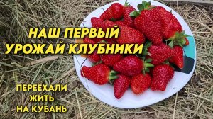 1139 Жизнь семьи в Краснодарском крае/Переехали с Урала на юг России