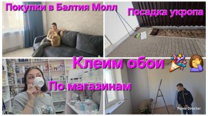 Переезд из Германии в Россию/По магазинам,Балтия Молл/Клеим обои🎉/Посадка укропа 🌳/Клиника 🦷
