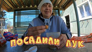 Посадили лук Открываем виноград