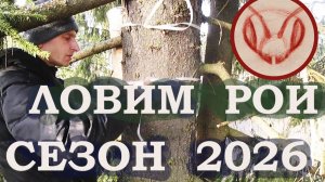 Ловля роёв. Сезон 2026