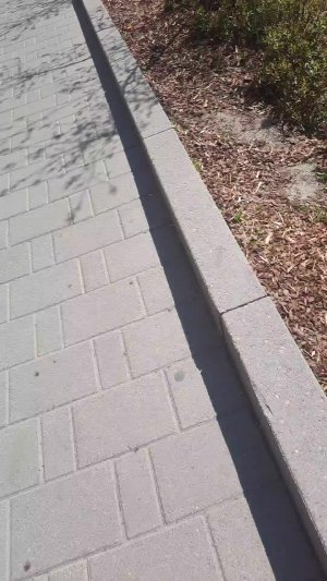 идём в пятёрочку
