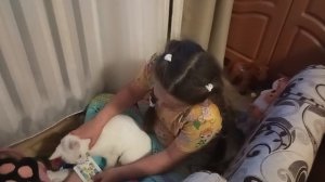 белый котик - первый день в садике