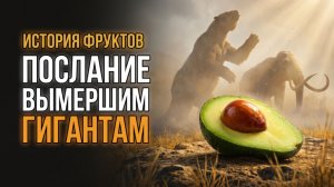 ИСТОРИЯ ФРУКТОВ: 🥑 Авокадо ждёт мамонта уже 13 000 лет?
